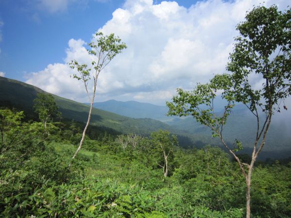 至仏山中腹
