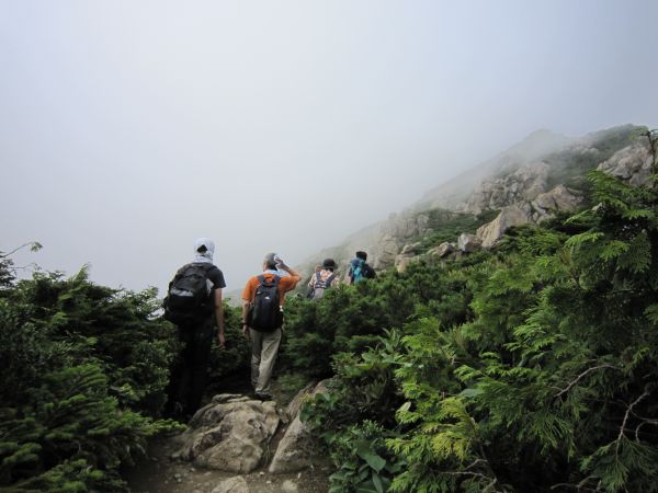 小至仏山山頂付近